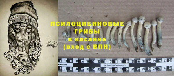 круглые Абаза