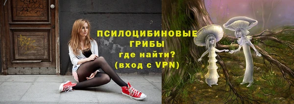 синтетический гашиш Алексин