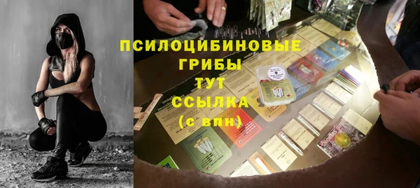 амф Сатка